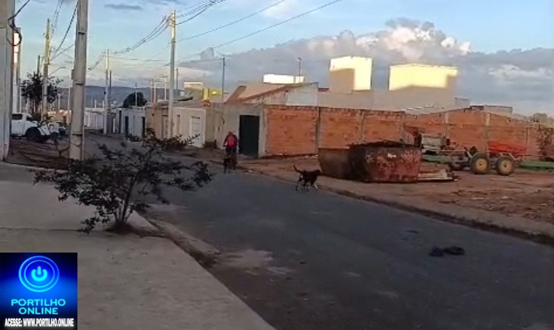 👉🏻🫵🏻🗣️😔😱👀🐶🐕🦺🦮🐕Boa tarde Portilho, venho fazer uma reclamação. Estão soltando um monte de cachorro na Rua Luxemburgo, Nações