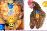 👉🏻🐔⚖️🚔😱🫵 “Quem é o ex-secretário das medalhas dos frangos assados?🐔?”🐔⚖️🚔🏅🏆😱🫢
