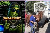 🫵🏻👉🏻🤔🫣🐴 Cavalos apreendidos.🐎😡👎🏻🫵🏻 Denúncias.Pepino grosso. Mais uma denuncia envolvendo o polêmico ” pepino 🥒🗣😱🥒🗣