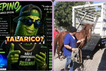 🫵🏻👉🏻🤔🫣🐴 Cavalos apreendidos.🐎😡👎🏻🫵🏻 Denúncias.Pepino grosso. Mais uma denuncia envolvendo o polêmico ” pepino 🥒🗣😱🥒🗣
