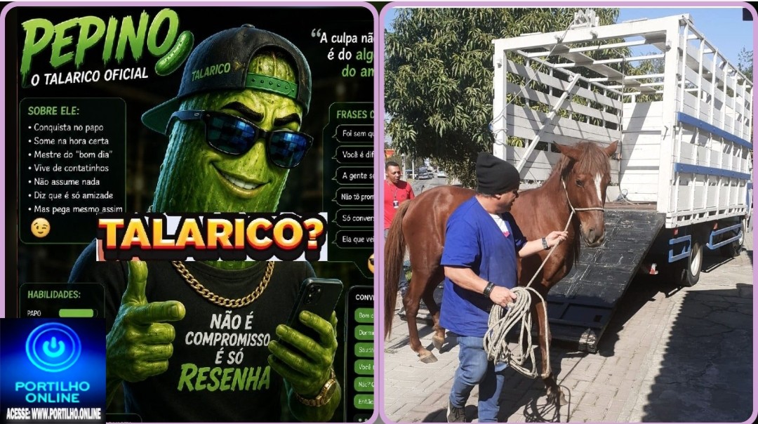 🫵🏻👉🏻🤔🫣🐴 Cavalos apreendidos.🐎😡👎🏻🫵🏻 Denúncias.Pepino grosso. Mais uma denuncia envolvendo o polêmico ” pepino 🥒🗣😱🥒🗣