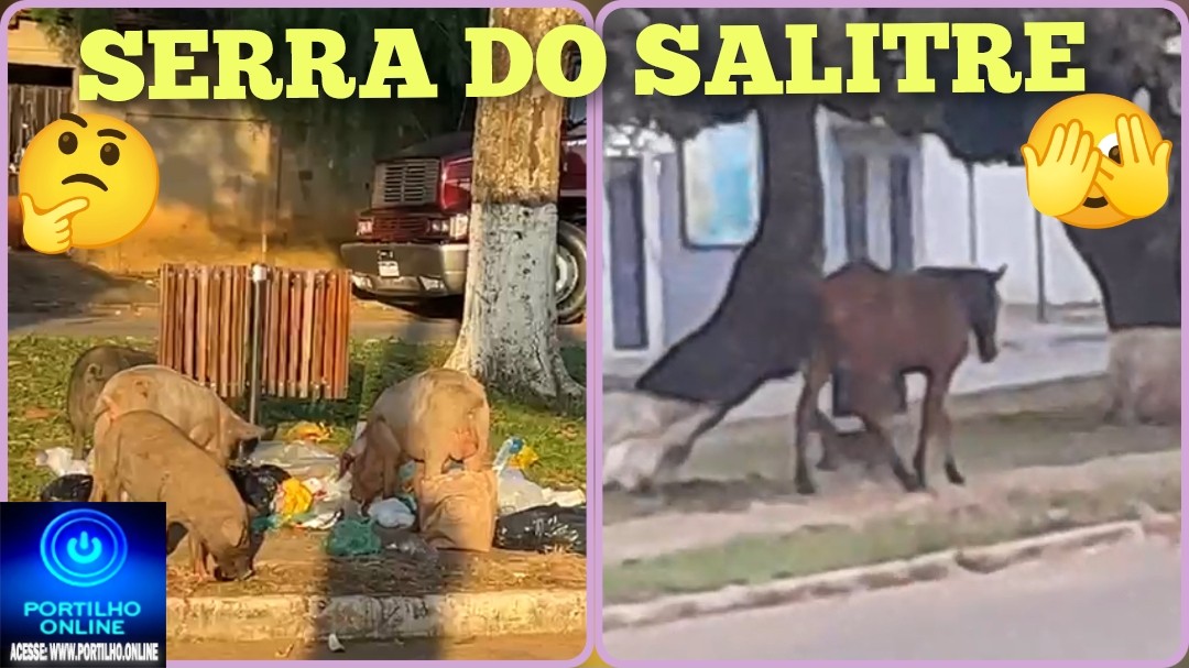 😱🚨🐴🐕🐐🐭🐖🐎🐂🐃🐑🦌 Serra do Salitre: “Tudo normal”! Cavalaria, cachorrada e outros animais soltos pelas vias públicas