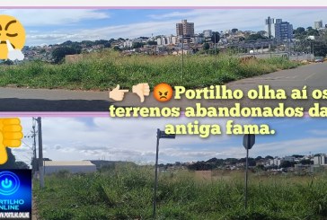 👉🏻👎🏻😡🚧🫵🏻🤔🗣️🚨🤮🤢Portilho olha aí os terrenos abandonados da antiga fama