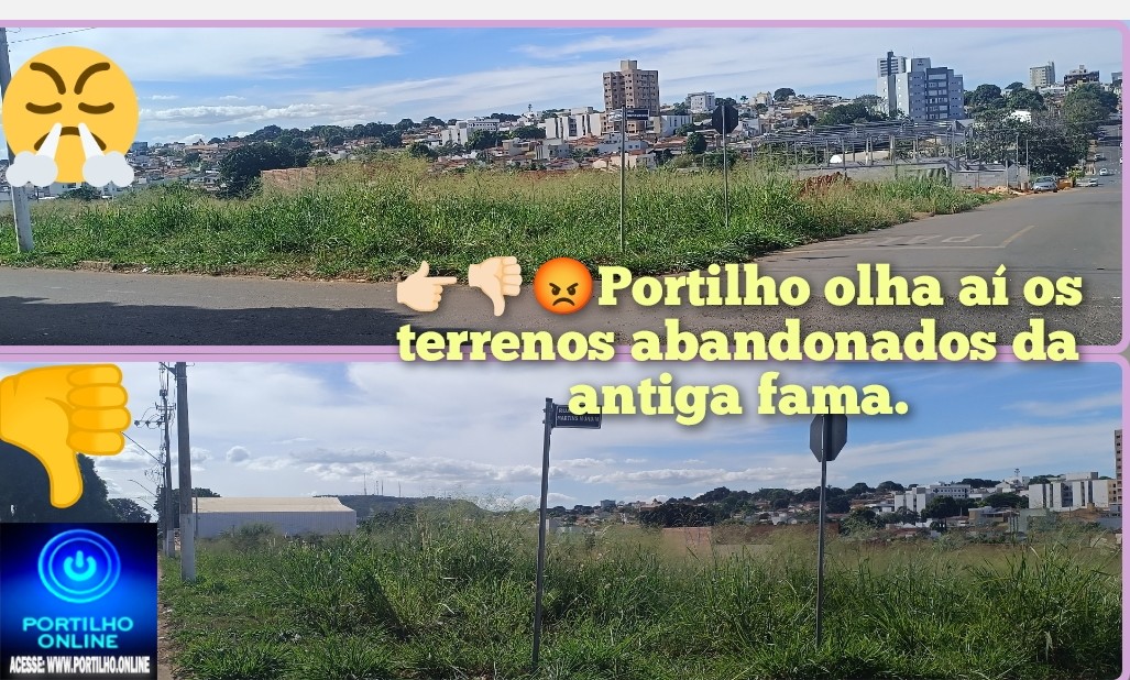 👉🏻👎🏻😡🚧🫵🏻🤔🗣️🚨🤮🤢Portilho olha aí os terrenos abandonados da antiga fama