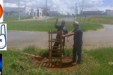 👉📢🌳🌲🚧🤬OS peões do secretário de Obras e do engenheiro Gabriel arrancaram uma muda de abacate plantada no canteiro.