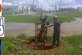 👉📢🌳🌲🚧🤬OS peões do secretário de Obras e do engenheiro Gabriel arrancaram uma muda de abacate plantada no canteiro.