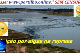 👉📢🗣🤢🤔🚨🚓🚔⚖🐡🐟🐠🐬Poluição por algas preocupa moradores na represa de Nova Ponte