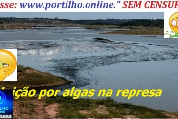 👉📢🗣🤢🤔🚨🚓🚔⚖🐡🐟🐠🐬Poluição por algas preocupa moradores na represa de Nova Ponte