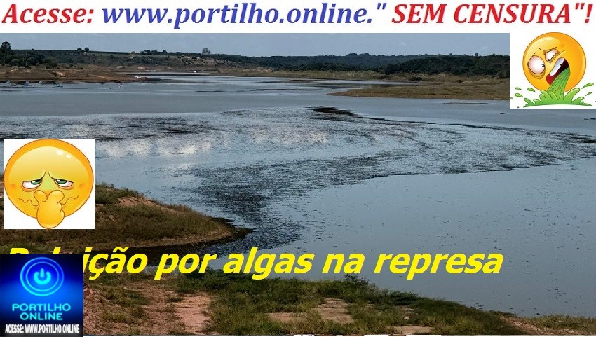 👉📢🗣🤢🤔🚨🚓🚔⚖🐡🐟🐠🐬Poluição por algas preocupa moradores na represa de Nova Ponte