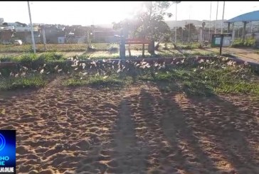 👉🏻🗣️🗣️🗣️🚧🚨🫵🏻⚽⚾🥎🏀🥅Moradores reclamam do abandono da pracinha do Bairro Jardim Sul