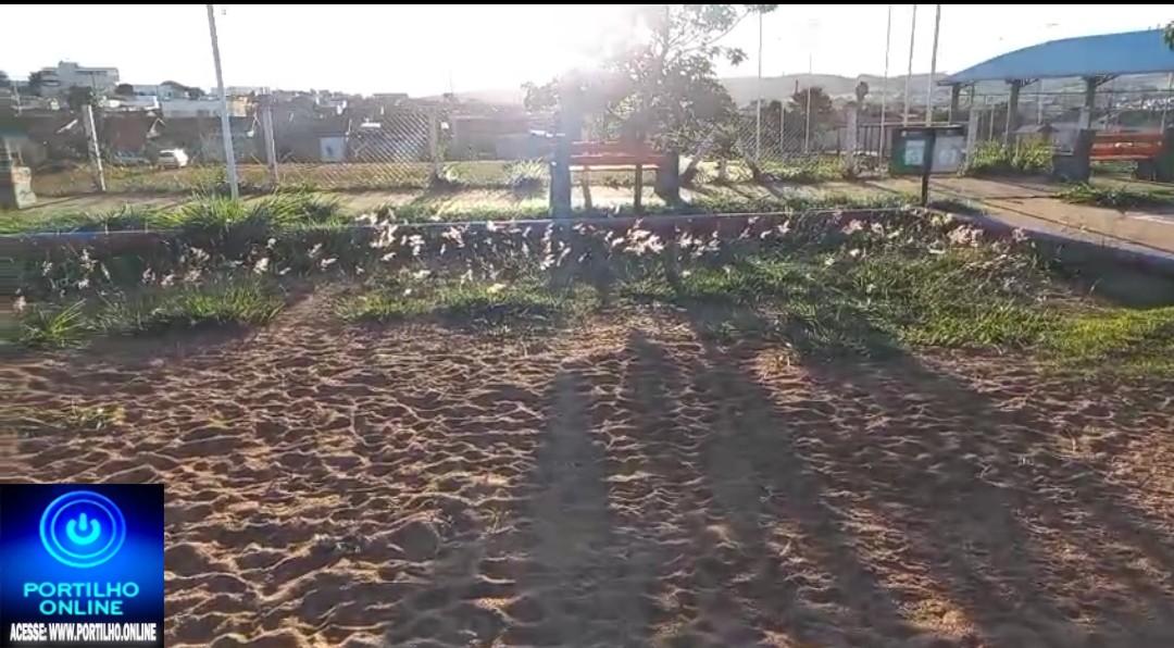 👉🏻🗣️🗣️🗣️🚧🚨🫵🏻⚽⚾🥎🏀🥅Moradores reclamam do abandono da pracinha do Bairro Jardim Sul