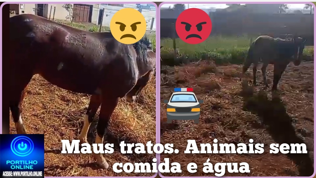 👉🏻🫵🏻🚔🚓😡🚧🐴🐎🐎Cadê a polícia   Ambiental🚨🗣️😠🤔? Maus tratos de dois cavalos num lote sem água e alimentação