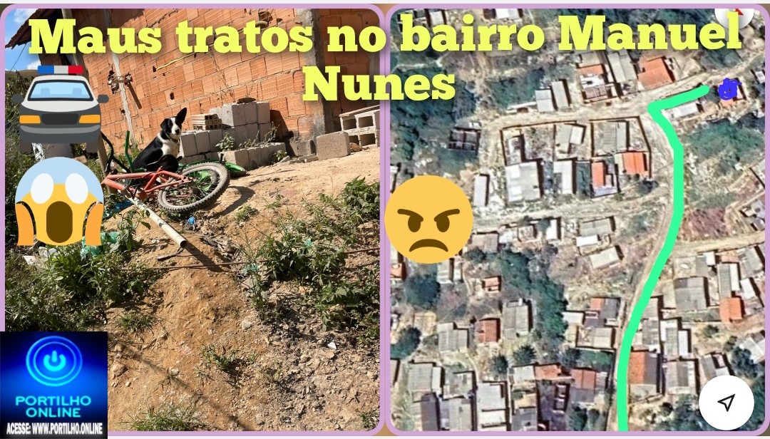 👉🏻🗣️🚨🚔😤😱😠🐕🦺🦮Maus tratos. Portilho Essa foto foi tirado hoje mas vou te mandar um vídeo de semana retrasada