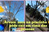 👉🏻🤔😱🚨🛑🛟🫵🏻🌳 🌲 Boa noite Portilho joia, então qria te pedir pra vc postar aí vou te mandar as fotos