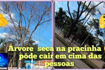 👉🏻🤔😱🚨🛑🛟🫵🏻🌳 🌲 Boa noite Portilho joia, então qria te pedir pra vc postar aí vou te mandar as fotos