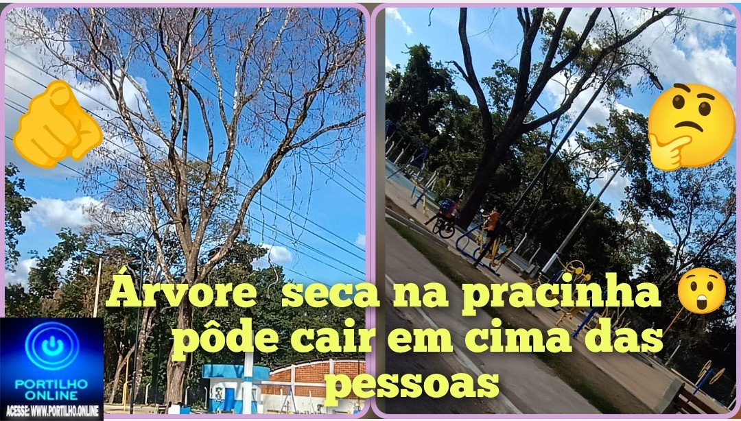 👉🏻🤔😱🚨🛑🛟🫵🏻🌳 🌲 Boa noite Portilho joia, então qria te pedir pra vc postar aí vou te mandar as fotos