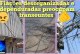 👉🏻🫵🏻🚨😱🤔⚡🔌📞💡Fiação de Internet Abandonada Invade Ruas e Preocupa Moradores de Patrocínio
