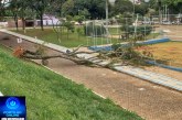 🫵🏻🚨😱🤔🌳🌲🚧🛑 👉🌳🚨 Árvore caída interrompe via pública na entrada do viaduto da Avenida Rui Barbosa