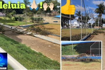 👉🏻🚧👎🏻🌳🍃🌬️🚨🤝🙌🏻🪓🤙🏻Depois de interromper a via pública desde sexta-feira, “árvore demolidora” é retirada