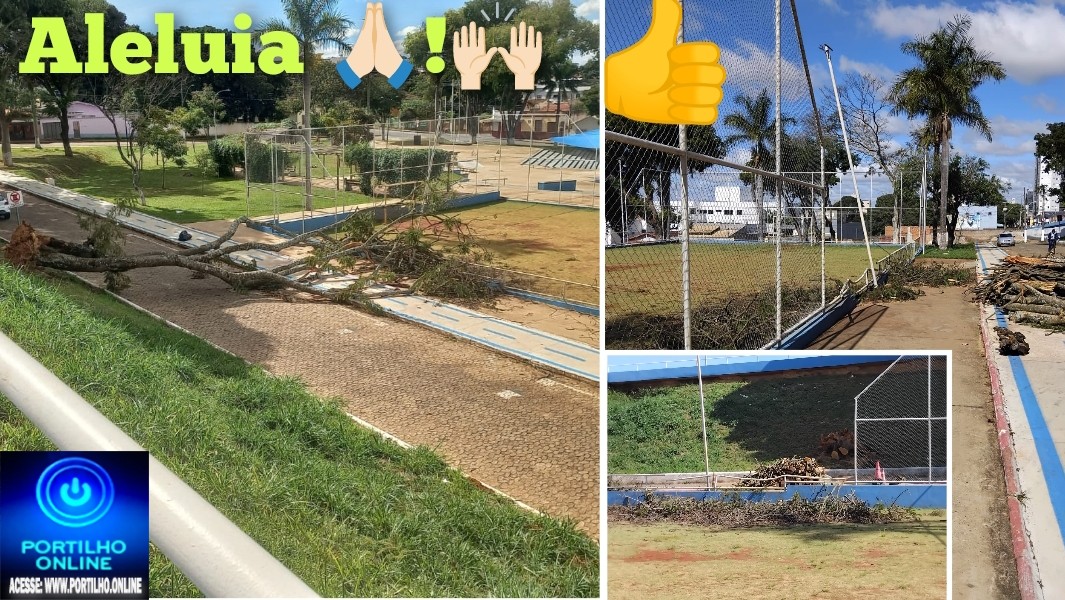 👉🏻🚧👎🏻🌳🍃🌬️🚨🤝🙌🏻🪓🤙🏻Depois de interromper a via pública desde sexta-feira, “árvore demolidora” é retirada