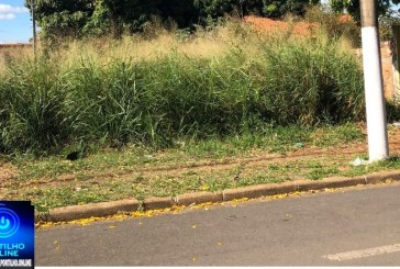 👉🏻🫵🏻😡👎🏻😤🗣️🚧👀🐁🐍🦂🐀👎🏻Portilho boa tarde até hoje não limpou o lote aqui na Av  Padre Mathias com Olívia de Assis