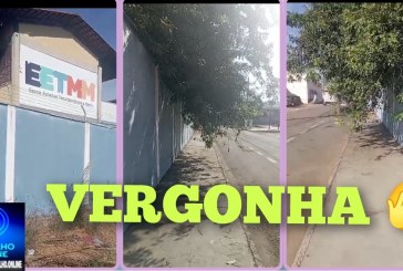 👉🏻🫵🏻🤔🗣️👎🏻😤🚨🚧Galhos de árvore 🌳 🫵🏻 interrompe a passagem de pedestre 🚷 🚸 cadê a diretoria dessa escola?