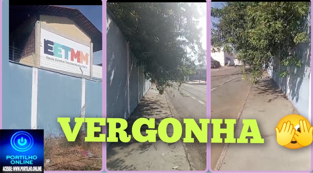 👉🏻🫵🏻🤔🗣️👎🏻😤🚨🚧Galhos de árvore 🌳 🫵🏻 interrompe a passagem de pedestre 🚷 🚸 cadê a diretoria dessa escola?