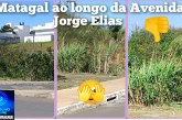 👉🏻🤢😤👎🏻🪤😱🚧⛳👀🤔🫵🏻Moradores que residem próximos à Avenida Jorge Elias Abrão reclamam do matagal na chamada “Avenida dos Lagos” ⛳🪤👎🏻🫵🏻😱