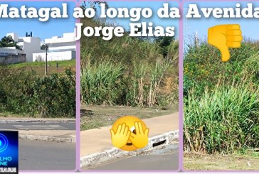 👉🏻🤢😤👎🏻🪤😱🚧⛳👀🤔🫵🏻Moradores que residem próximos à Avenida Jorge Elias Abrão reclamam do matagal na chamada “Avenida dos Lagos” ⛳🪤👎🏻🫵🏻😱