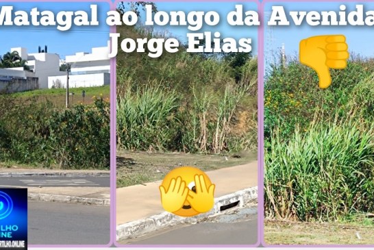 👉🏻🤢😤👎🏻🪤😱🚧⛳👀🤔🫵🏻Moradores que residem próximos à Avenida Jorge Elias Abrão reclamam do matagal na chamada “Avenida dos Lagos” ⛳🪤👎🏻🫵🏻😱
