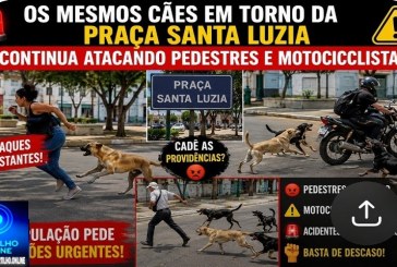 👉🏻🚨🚧😤👊🏻🤔😡🦮 Os mesmos cães que circulam pela Praça Santa Luzia continuam atacando pedestres e motociclistas.
