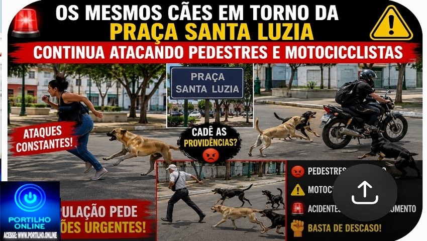 👉🏻🚨🚧😤👊🏻🤔😡🦮 Os mesmos cães que circulam pela Praça Santa Luzia continuam atacando pedestres e motociclistas.