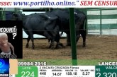 👉📢🤔🗣🧐🚔🚨Duas viaturas estiveram lá! Seria um estelionato?!🤔🔎🚔🔍Gado produto de estelionato sendo vendido no leilão🔍🐮🐄🔎👀
