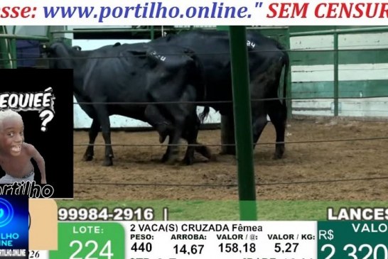 👉📢🤔🗣🧐🚔🚨Duas viaturas estiveram lá! Seria um estelionato?!🤔🔎🚔🔍Gado produto de estelionato sendo vendido no leilão🔍🐮🐄🔎👀