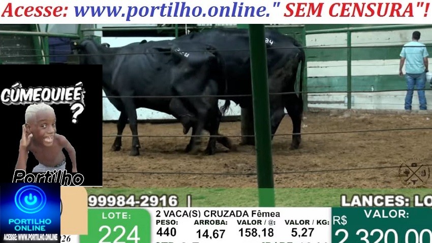 👉📢🤔🗣🧐🚔🚨Duas viaturas estiveram lá! Seria um estelionato?!🤔🔎🚔🔍Gado produto de estelionato sendo vendido no leilão🔍🐮🐄🔎👀