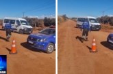 👉🏻✍🏻👏🏻🤝🙌🏻🐦 🧢*Parabéns aos Agentes da Defesa Social e Mobilidade Urbana na linha de frente do asfaltamento da Estrada de Dourados*