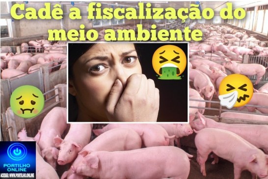 👉🏻🫵🏻😠🗣️🤮🤢🤧🐽🐷🐖Granja fedorenta !Portilho nós do Bairro Congonhas nao aguentamos mais