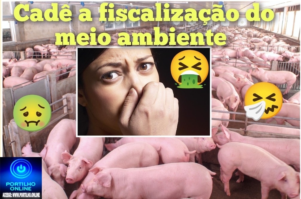 👉🏻🫵🏻😠🗣️🤮🤢🤧🐽🐷🐖Granja fedorenta !Portilho nós do Bairro Congonhas nao aguentamos mais