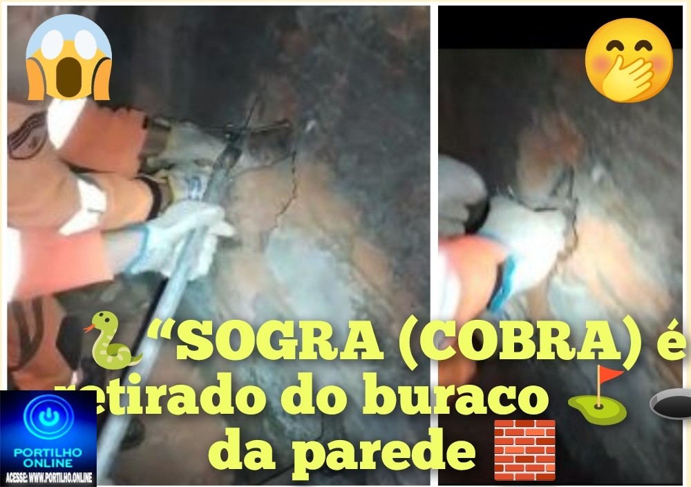👉🧐🤔🙄😳🐍🐍🐍🐍“SOGRA (COBRA) é retirado do buraco ⛳ 🕳️ da parede 🧱 pelos bombeiros.