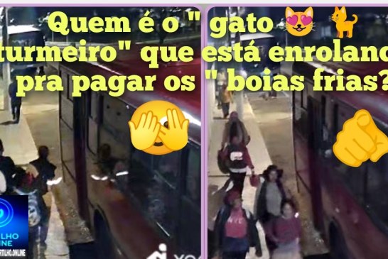 👉🏻🚨🫵🏻🗣️🎬💸💵💰💷 Se não pagar EU vou postar aqui o nome dele…Quem é o ” gato 😻 🐈 turmeiro”