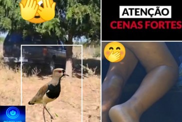 🥺🫣🛻Espia esse vídeo dentro da caminhonete  🛻 🫣” A casa caiu p Manoel