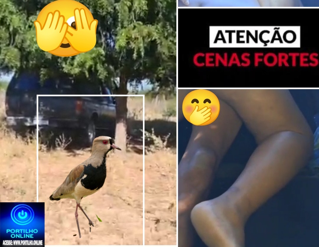 🥺🫣🛻Espia esse vídeo dentro da caminhonete 🛻 🫣” A casa caiu p Manoel