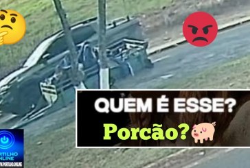 👉😡🫵Quem é o Porcão 🐽 🐷 🐖 🫵Quem é o indivíduo  Porcão do Bairro Belvedere”?🫣👀” ?? 🐽 🐷 🐖