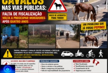 👉🏻🫵🏻😠👎🏻🐎🤔🚨🐎🐴 CAVALOS NAS VIAS PÚBLICAS: Falta de fiscalização volta a preocupar moradores após quatro anos🥒👎🏻🤔🗣️