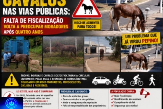 👉🏻🫵🏻😠👎🏻🐎🤔🚨🐎🐴 CAVALOS NAS VIAS PÚBLICAS: Falta de fiscalização volta a preocupar moradores após quatro anos🥒👎🏻🤔🗣️