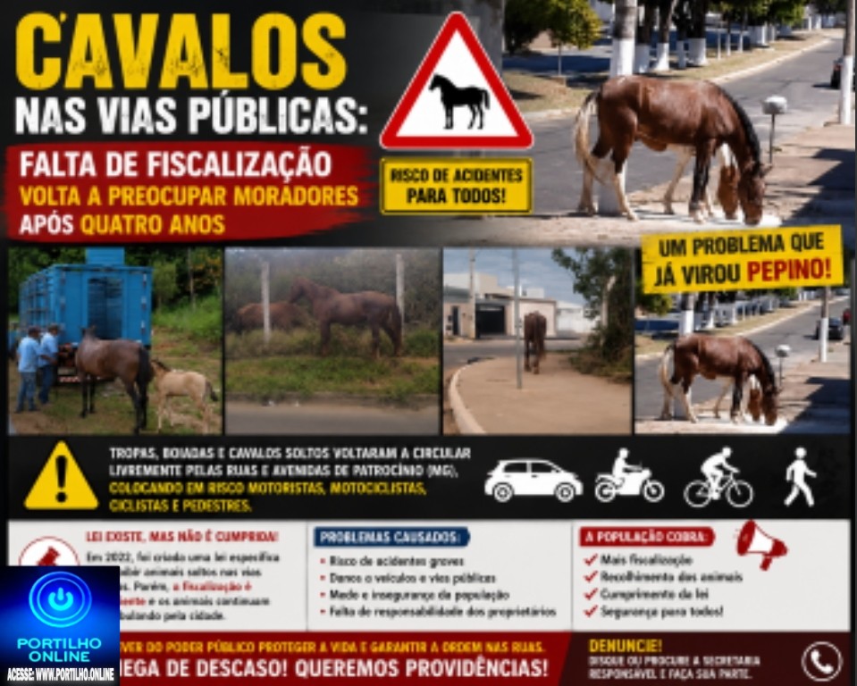 👉🏻🫵🏻😠👎🏻🐎🤔🚨🐎🐴 CAVALOS NAS VIAS PÚBLICAS: Falta de fiscalização volta a preocupar moradores após quatro anos🥒👎🏻🤔🗣️