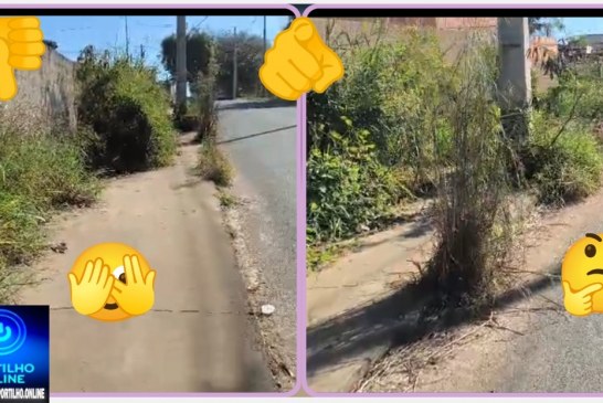 👉🏻🚧Calçada tomada pelo descaso.👎🏻😠😤🗣Bom dia Portilho, olha esse descaso no bairro Manoel Nunes