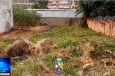 👉🏻🫵🏻👏🏻👍🏻🤝 Notícias 📰 🗞️ da prefeitura… Governo Municipal reforça fiscalização de terrenos, lotes sujos, e orienta proprietários sobre obrigação permanente de manutenção