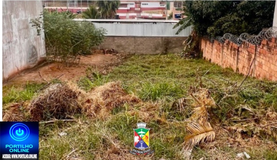 👉🏻🫵🏻👏🏻👍🏻🤝 Notícias 📰 🗞️ da prefeitura… Governo Municipal reforça fiscalização de terrenos, lotes sujos, e orienta proprietários sobre obrigação permanente de manutenção