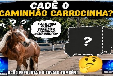 👉🏻🤔🐴🐎😤👀🦴🐕🐕‍🦺🦮Cadê o caminhão 🚚 carrocinha? Porque não estão recolhendo mais os animais de rua?